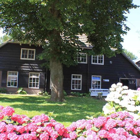 Op Zestien Apartman Hippolytushoef Kültér fotó
